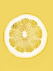 Fetta di limone fresco — Foto stock