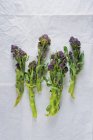 Purple sprouting broccoli — Stock Photo