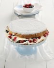 Gâteau au yaourt aux baies — Photo de stock