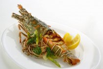 Grilled reef lobster with linguine pasta — Stock Photo
