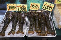 Vista elevada de lagostas no gelo com etiquetas de preço — Fotografia de Stock