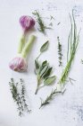 Свежий чеснок и различные травы — стоковое фото