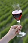 Рука держа бокал красного вина — стоковое фото