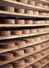 Räder aus Toma-Käse — Stockfoto