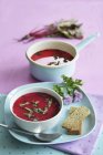 Свекольный суп в миске и кастрюле — стоковое фото