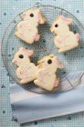 Easter bunny biscuits — Stock Photo