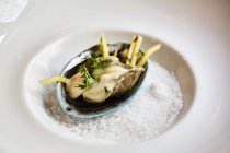 Primo piano vista della cozza Abalone con erba sul sale — Foto stock