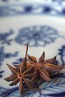 Star anise on plate — Stock Photo