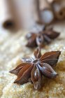 Звездный анис с тростниковым сахаром — стоковое фото