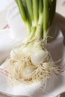 Bundle of spring onions — Stock Photo