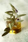 Um copo de azeite com um raminho de azeitona — Fotografia de Stock