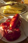 Boiled Maine lobster — Stock Photo
