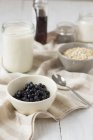 Ingredients of pudding with oats and blueberries — Stock Photo