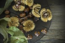 Top view of raw and roasted chestnuts and leaves — Stock Photo
