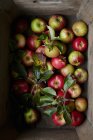 Frische rohe Äpfel — Stockfoto