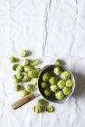Brussels sprouts in bowl — Stock Photo