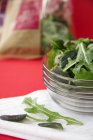 Fresh rocket salad — Stock Photo