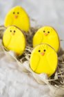 Easter chick biscuits — Stock Photo