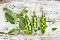 Fresh pea pods and mint — Stock Photo