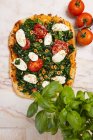 Spinat-Pizza mit Mozzarella — Stockfoto