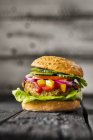 Hambúrguer vegetariano sem glúten — Fotografia de Stock