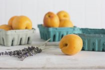 Apricots and lavender in bowls — Stock Photo