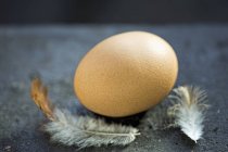Huevo fresco con pluma - foto de stock