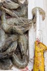 Crevettes fraîches au couteau — Photo de stock