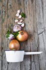 Garlic and onions with saucepan — Stock Photo
