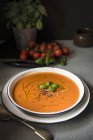 Tomato soup with basil and red onion — Stock Photo