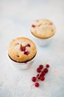 Muffins with red currants — Stock Photo