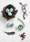 Easter nest with macarons — Stock Photo