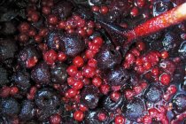 Jalea de frutas con ciruelas y grosellas - foto de stock