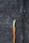Свіжа підібрана дитяча морква — стокове фото