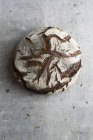 Pane di segale di pasta madre francese — Foto stock