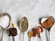Closeup top view of spoons with assorted spices on a marble surface — Stock Photo