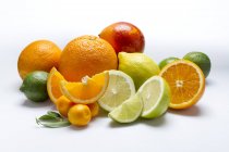 Arrangement of citrus fruits — Stock Photo