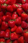 Fresh ripe Strawberries — Stock Photo