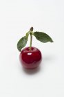 Sour cherry with stem and leaves — Stock Photo
