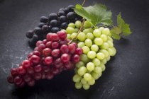 Uvas pretas, vermelhas e verdes — Fotografia de Stock