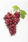 Красный виноград с листом — стоковое фото