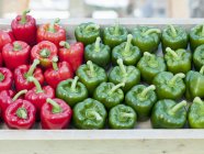 Red and green peppers in wooden tray — Stock Photo