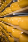 Mocassini di formaggio confezionati — Foto stock
