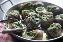 Snails with herbs and garlic on pot over towel — Stock Photo