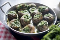 Snails with herbs and garlic on pan over grey surface — Stock Photo