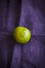 Зелений Зебра томатний — стокове фото