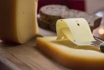 Semi-hard cheese — Stock Photo