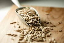 Oat grains in metal scoop — Stock Photo