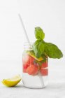 Closeup view of detox water with melon, lemon and basil — Stock Photo