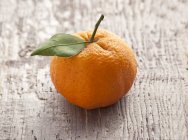 Mandarina de oro Shasta - foto de stock